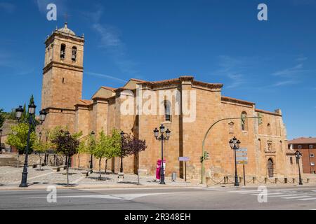 Concatedral de San Pedro, siglo XII, Soria, Comunidad Autónoma de Castilla, Spanien, Europa. Stockfoto