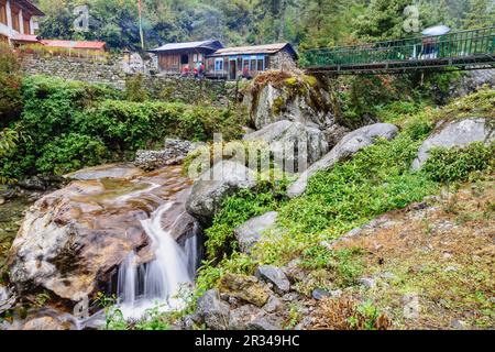 Toktok. Sagarmatha Nationalpark, Khumbu Himal, Nepal, Asien. Stockfoto