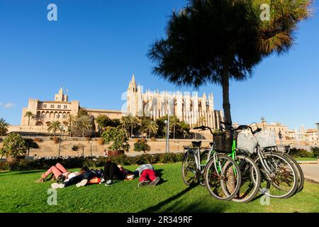 Parque del Mar y Catedral de Mallorca, siglo XIII, Monumento histórico - artístico, Palma, Mallorca, Balearen, Spanien, Europa. Stockfoto