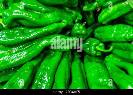 Pimientos Verdes, Mercado s Olivar, Palma, Mallorca, Balearen, Spanien. Stockfoto