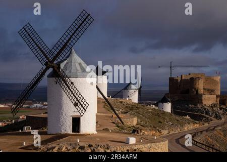 Molinos de Consuegra con el Castillo de La Muela al Fondo, Cerro Calderico, Consuegra, Provincia de Toledo, Kastilien-La Mancha, Spanien. Stockfoto