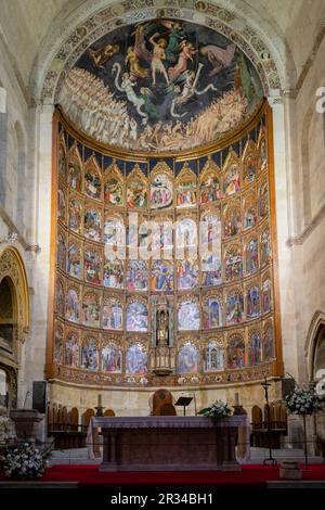 Retablo de la Catedral Vieja, Catedral de la Asunción de la Virgen, Catedral vieja, Salamanca, Comunidad Autónoma de Castilla y León, Spanien. Stockfoto