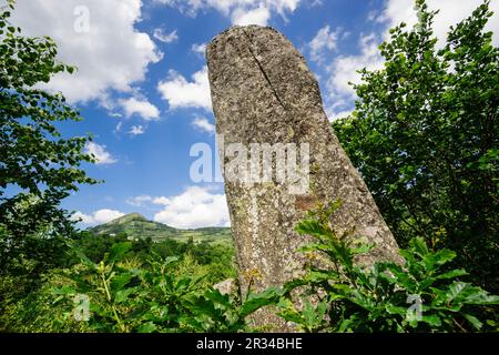 Menhir of Counozouls, Aude Valley, Roussillon, Pyrenees Orientales, Frankreich, Europa. Stockfoto