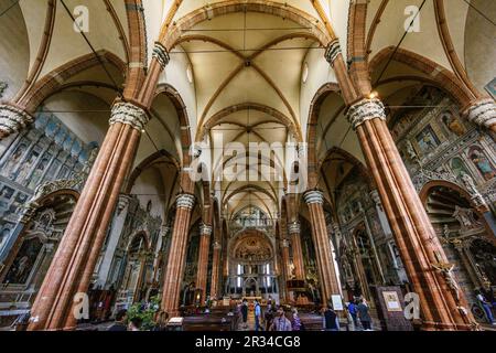 Catedral de Verona - Duomo di Verona, Kathedrale Santa Maria Matricolare -, Verona, Patrimonio de la humanidad, Venetien, Italien, Europa. Stockfoto