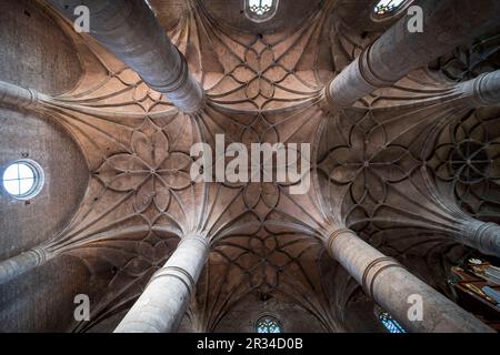 Colegiata de Santa María del Mercado, Gótico - renacentista, construída Entre 1526-1530, por el arquitecto Juan de Rasines, Berlanga de Duero, Soria, Comunidad Autónoma de Castilla y León, Spanien, Europa. Stockfoto