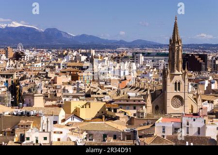 Gotica iglesia de Santa Eulàlia, siglos XIV-XIX Desde la Catedral de Mallorca, siglo XIII, Monumento histórico - artístico, Palma, Mallorca, Balearen, Spanien, Europa. Stockfoto