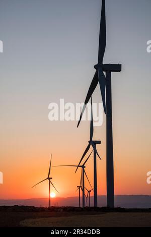 parque eólico en La Muela, Zaraoza, Aragón, Spanien, Europa. Stockfoto