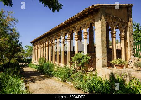 Arcos góticos Del Siglo XIII provenientes del Antiguo Convento de Santa Margalida de Palma. Monasterio de Miramar, fundado En 1276. Valldemossa. Sierra de Tramuntana. Mallorca. Islas Baleares. España. Stockfoto