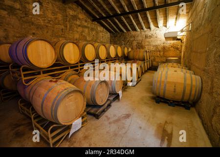 Mesquida Mora Winery, Pla i Llevant Ursprungsbezeichnung, Porreres, Mallorca, Balearen, Spanien. Stockfoto