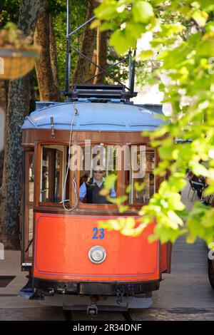 Zwischen Bäumen verkehrende Hafenbahn, Soller. Mallorca. Balearen. Spanien. Stockfoto