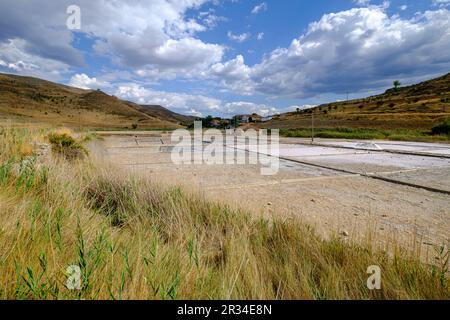 Salinas de Medinaceli, Torero, Soria, Comunidad Autónoma de Castilla y León, Spanien, Europa. Stockfoto