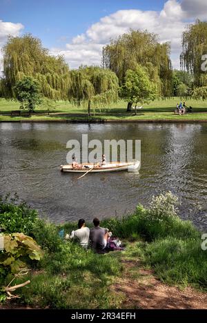 Am Flussufer saßen die Leute entspannt und andere ruderten Boote auf dem Fluss Avon, Stratford-upon-Avon, Warwickshire, England, Großbritannien Stockfoto