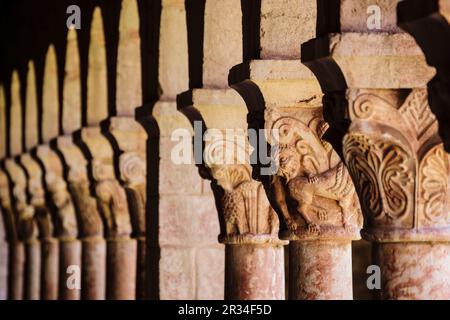 Columnas y capiteles, Claustro del siglo XII, Monasterio Benedictino de Sant Miquel de Cuixa, año 879, pirineos Orientales, Francia, Europa. Stockfoto