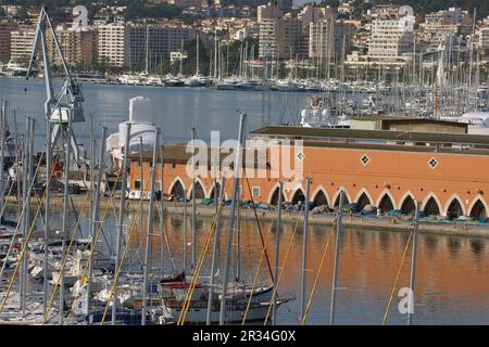 Puerto de Palma desde La Terraza de La Lonja. La Llotja, siglo XV Palma. Mallorca Islas Baleares. España. Stockfoto