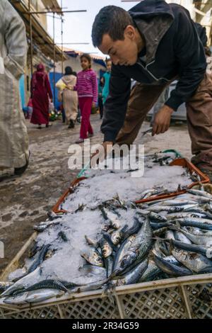 Zoco, Chefchauen, --Chauen, Marruecos, Norte de Afrika, continente Africano. Stockfoto