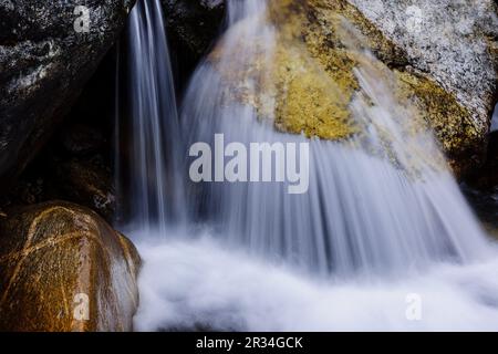 Toktok. Sagarmatha Nationalpark, Khumbu Himal, Nepal, Asien. Stockfoto