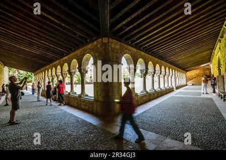 Columnas y capiteles, Claustro del siglo XII, Monasterio Benedictino de Sant Miquel de Cuixa, año 879, pirineos Orientales, Francia, Europa. Stockfoto