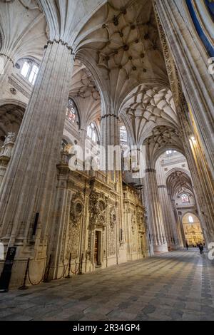 Capilla Dorada, Catedral de la Asunción de la Virgen, Salamanca, Comunidad Autónoma de Castilla y León, Spanien. Stockfoto