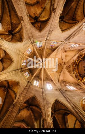 Coro y gotica Abside, Iglesia de Santa Eulalia, siglos XIV-XIX, Plaza de Santa Eularia, Mallorca, Islas Baleares, España. Stockfoto