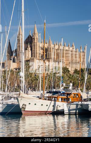 Catedral de Palma desde Moll de La Riba, Palma, Mallorca, Balearen, Spanien, Europa. Stockfoto