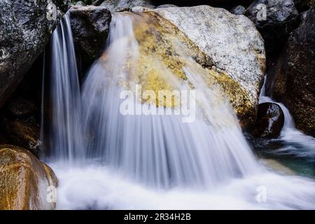 Toktok. Sagarmatha Nationalpark, Khumbu Himal, Nepal, Asien. Stockfoto