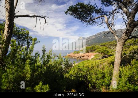 playa de Son Bunyola, Banyalbufar. Parque natural de la Sierra de Tramuntana. Mallorca. Die Balearen. Spanien. Stockfoto