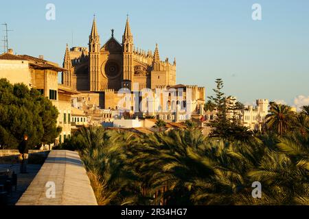 Catedral de Mallorca desde La Terraza d'Es Baluard (Museu d'Art Modern i Contemporani de Palma). Palma. Mallorca Islas Baleares. España. Stockfoto