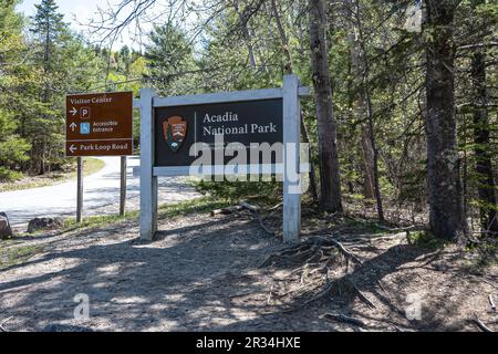 Acadia-Nationalschild mit Wegbeschreibung zur Park Loop Road und zum Besucherzentrum. Stockfoto