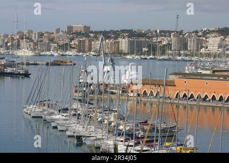 Puerto de Palma desde La Terraza de La Lonja. La Llotja, siglo XV Palma. Mallorca Islas Baleares. España. Stockfoto