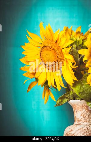 Sonnenblumen Stilleben Stockfoto