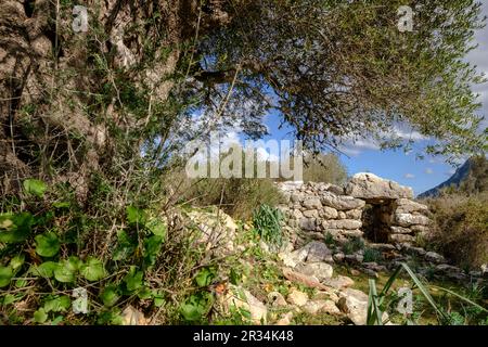 Talaiot, Son Ferrandell-Son Oleza, I milenio A C., Valldemossa, Mallorca, Balearische Inseln, spanien. Stockfoto