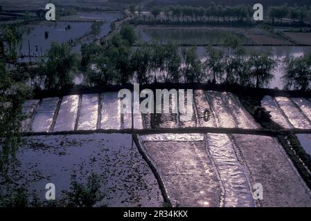 Landwirtschaft und Landschaft in der Stadt Dali am Er-Hai-See in der Provinz Yunnan in China in ostasien. China, Yunnan, April 1996 Stockfoto