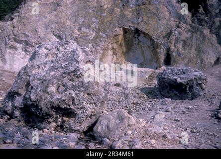 Die Steinlandschaft im Shilin Stone Fosrest Park in der Nähe der Stadt Kunming in der Provinz Yunnan in China in ostasien. China, Yunnan, April, Stockfoto