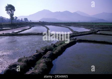 Landwirtschaft und Landschaft in der Stadt Dali am Er-Hai-See in der Provinz Yunnan in China in ostasien. China, Yunnan, April 1996 Stockfoto