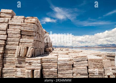 Salinas Grandes, Argentinien Stockfoto