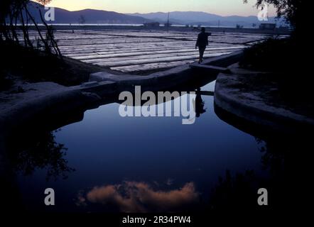 Landwirtschaft und Landschaft in der Stadt Dali am Er-Hai-See in der Provinz Yunnan in China in ostasien. China, Yunnan, April 1996 Stockfoto