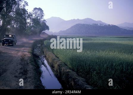 Landwirtschaft und Landschaft in der Stadt Dali am Er-Hai-See in der Provinz Yunnan in China in ostasien. China, Yunnan, April 1996 Stockfoto