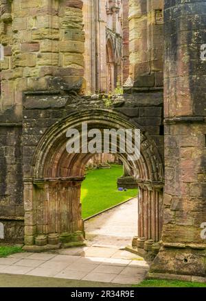 Details zu den Ruinen der Fountains Abbey in Yorkshire, Großbritannien im Frühling Stockfoto