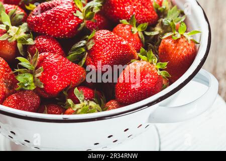 Erdbeeren in Sieb Stockfoto