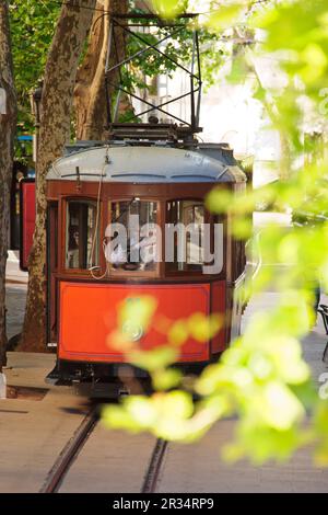 Zwischen Bäumen verkehrende Hafenbahn, Soller. Mallorca. Balearen. Spanien. Stockfoto