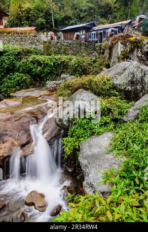 Toktok. Sagarmatha Nationalpark, Khumbu Himal, Nepal, Asien. Stockfoto