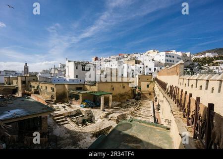 Tenetia, Medina de Tetuán, Patrimonio de la humanidad, Marruecos, Norte de Afrika, continente Africano. Stockfoto