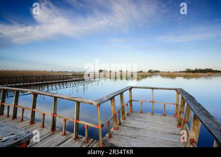 Pasarelas al Amanecer, Parque Nacional Tablas de Daimiel, Ciudad Real, Kastilien-La Mancha, Spanien, Europa. Stockfoto