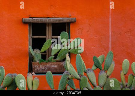 Casa de Farbe, Barrio de El Terreno, Distrito de Poniente, Palma de Mallorca, Balearen, Spanien, Europa. Stockfoto