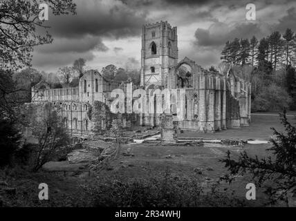 Details zu den Ruinen der Fountains Abbey in Yorkshire, Großbritannien, im Frühjahr in Schwarz-Weiß umgewandelt Stockfoto