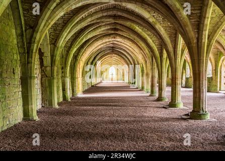 Detail der gewölbten Cellareumdecke der Fountains Abbey in Yorkshire, Großbritannien Stockfoto