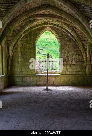 Detail der gewölbten Cellareumdecke der Fountains Abbey in Yorkshire, Großbritannien Stockfoto