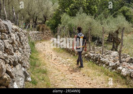 camino de costa d'en Nicó, Fornalutx, Mallorca, Balearen, Spanien. Stockfoto