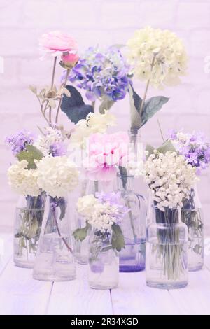 Blumen in Flaschen Stockfoto