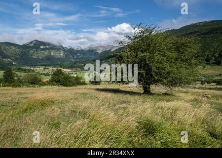 Valle de Belagua, Lola, Navarra, Spanien, Europa. Stockfoto